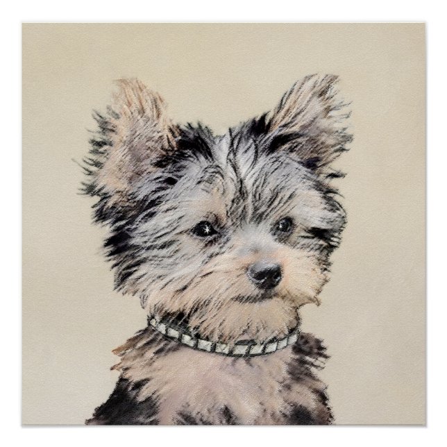 Pôster Yorkshire Terrier Puppy Pintura Original (Frente)