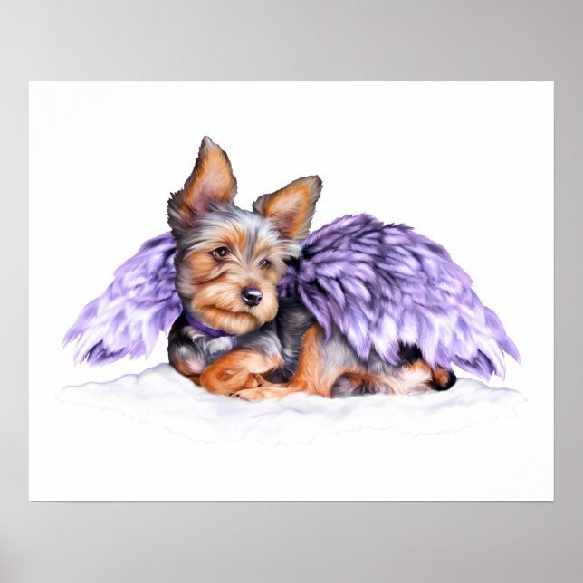Pôster Yorkshire Terrier Yorkie Angel (Frente)