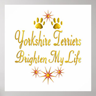 Poster Yorkshire Terriers Brighten My Life