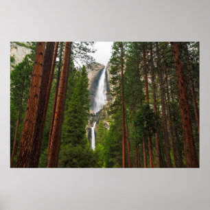 Poster Yosemite cai pela floresta