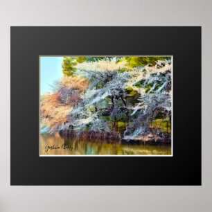 Poster Yoshino Cherry