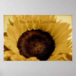 Poster You Are My Sunshine