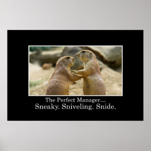 Pôster You have all the qualities of a great manager [XL]