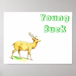 Pôster Young Buck