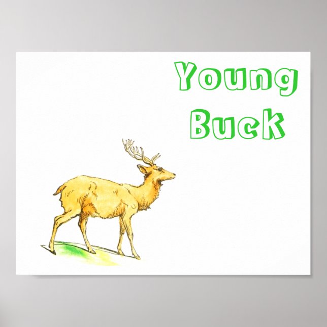 Pôster Young Buck (Frente)