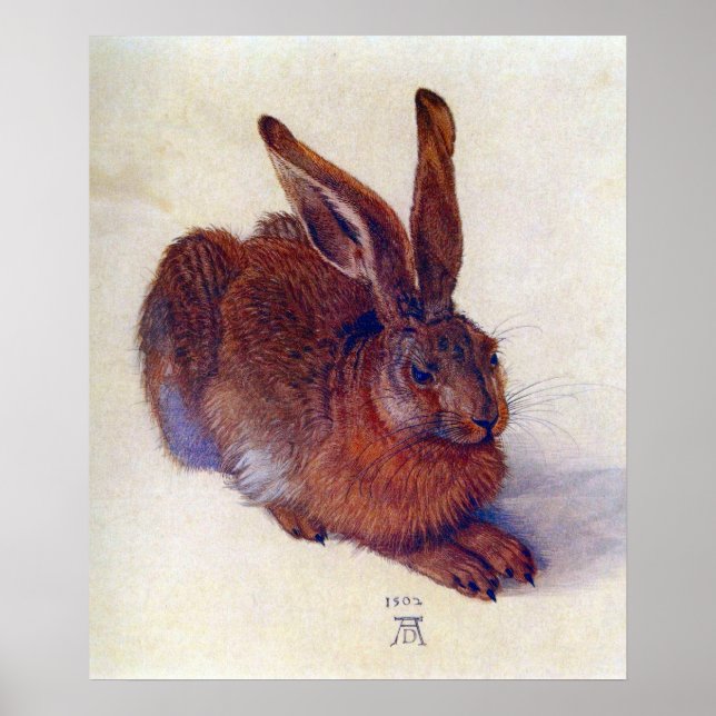 Pôster Young Hare by Albrecht Durer, Renaissance Fine Art (Frente)