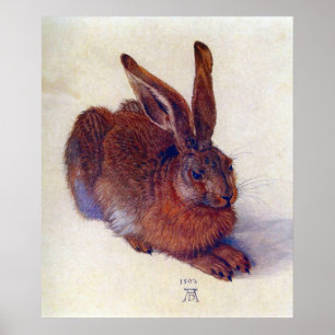 Pôster Young Hare de Albrecht Durer, Renaissance Fine Art