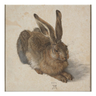 Pôster Young Hare (Durer 1502)