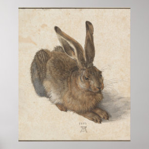 Poster Young Hare (Durer 1502)