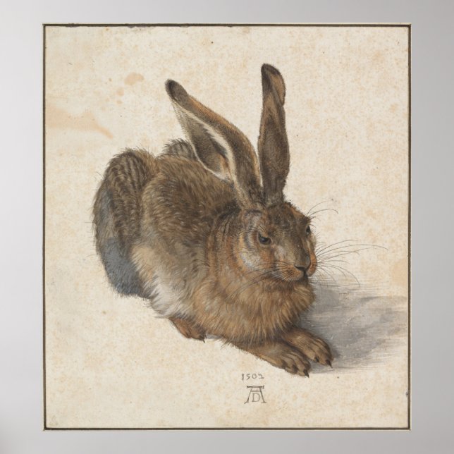 Pôster Young Hare por Albrecht Durer (Frente)