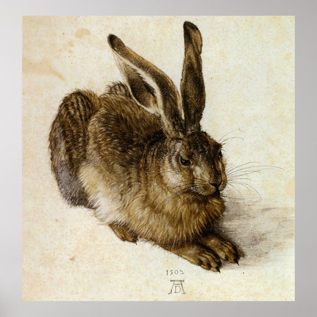 Pôster "Young Hare" por Albrecht Dürer (Frente)