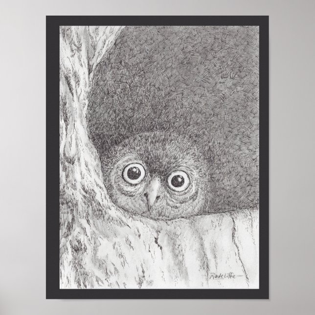Poster Young Hawk Owl Print (Frente)