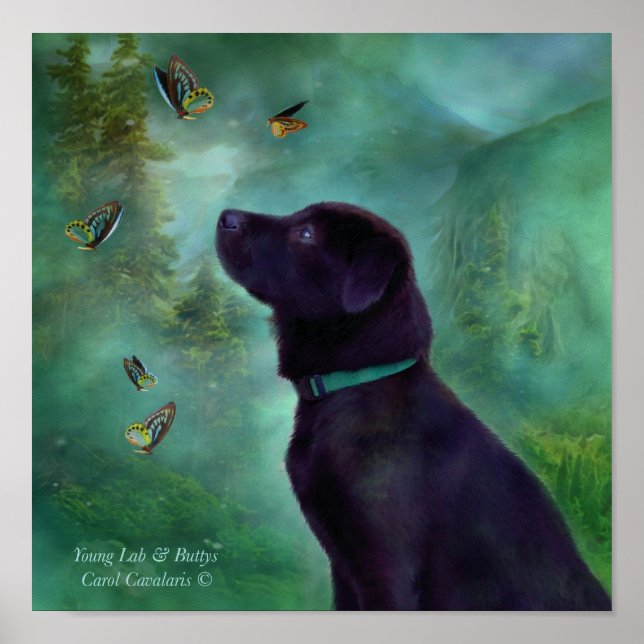 Pôster Young Lab & Buttys Art Poster/Impressão (Frente)