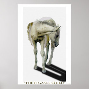 Pôster Young White Pegasus Colt Fantasy Art