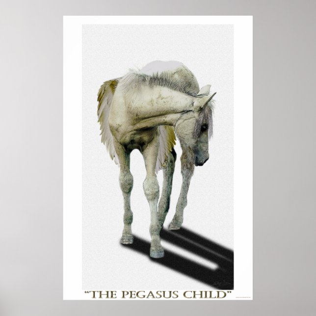 Pôster Young White Pegasus Colt Fantasy Art (Frente)