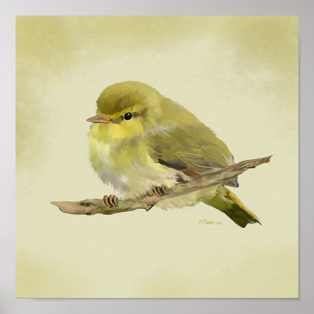 Poster Young Wood Warbler (Frente)