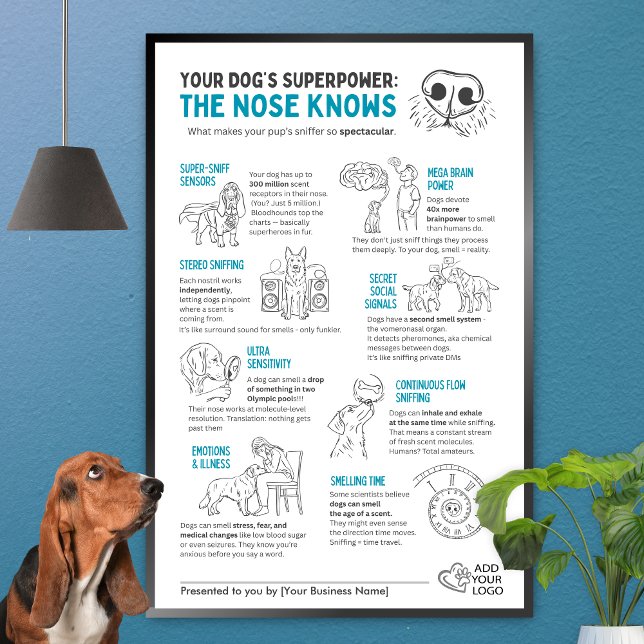 Poster Your Dog’s Superpower - The nose knows  (Criador carregado)
