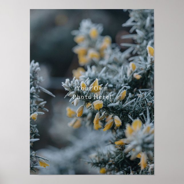 Poster Your Own Personalised Photo Poster. (Frente)