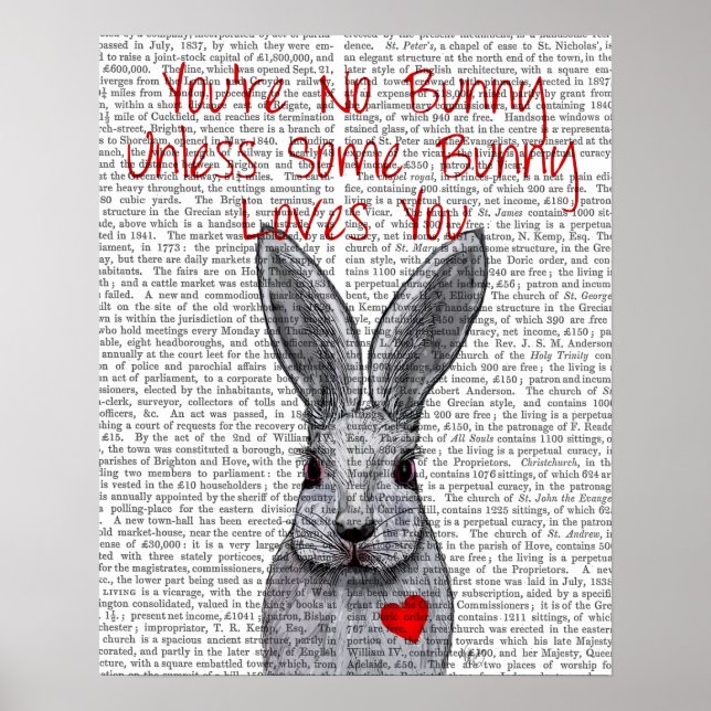 Poster You're No Bunny (Frente)