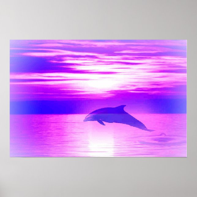 Pôster Ysundolphin (Frente)