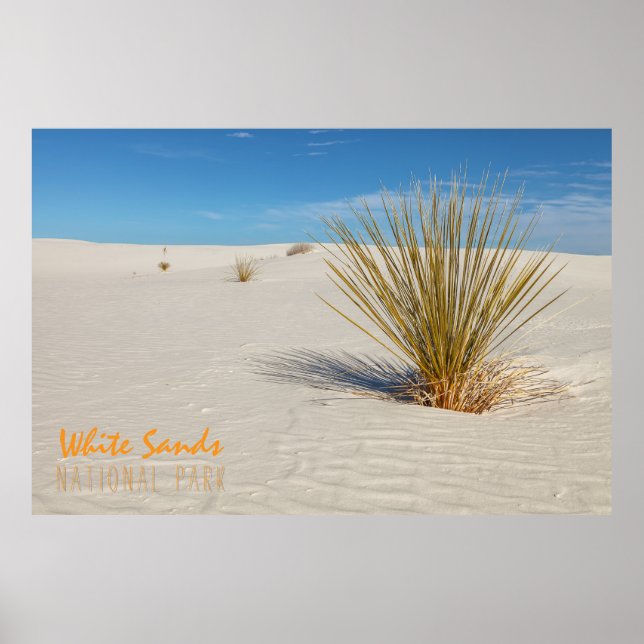 Poster Yucca nas areias brancas (Frente)