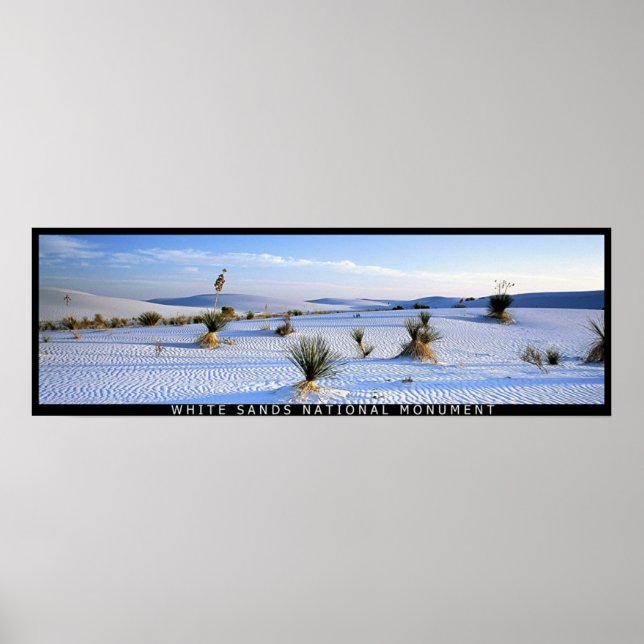 Poster Yucca Panorama (Frente)