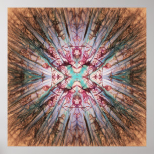 Pôster Yucca Warm Glow