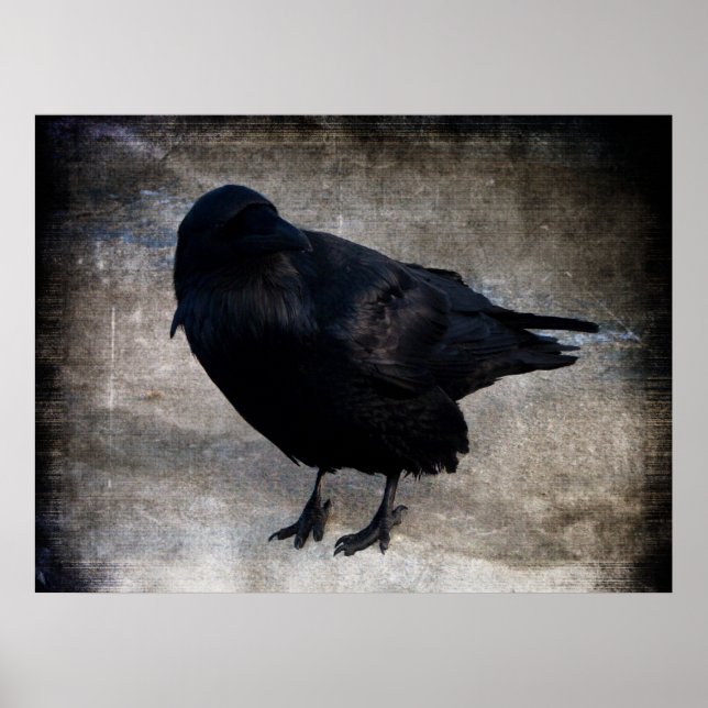 Pôster Yukon Raven Grunge (Frente)