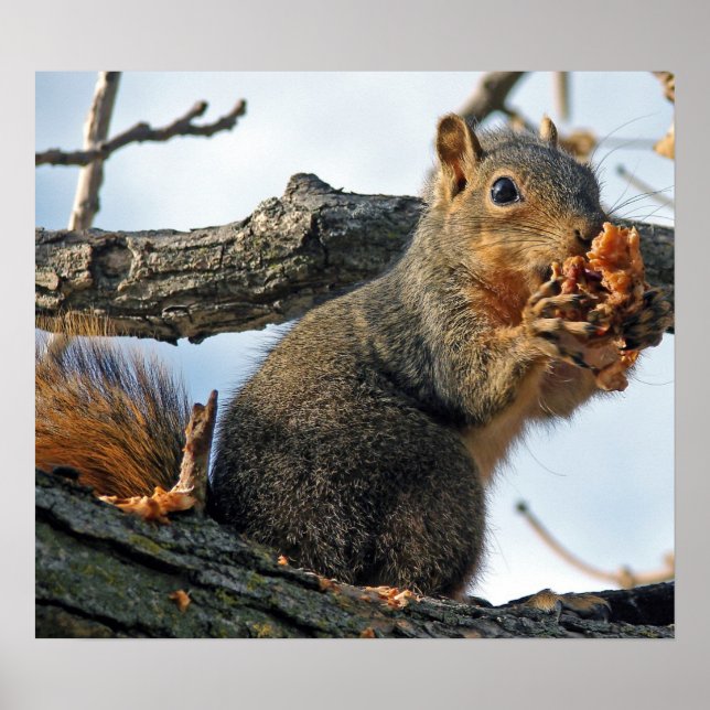 Pôster Yummy na minha barriga (Frente)