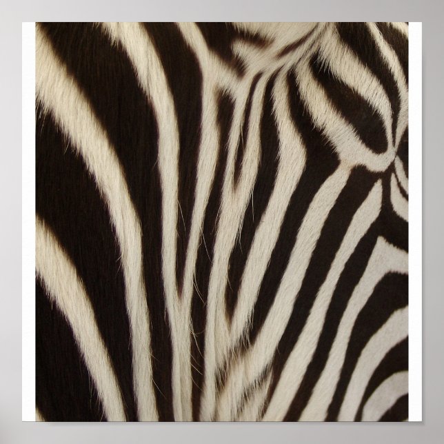 Pôster Z Stripe (Frente)