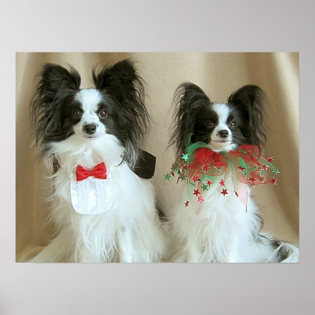 Pôster ZACH Nab CLAIRE (Frente)