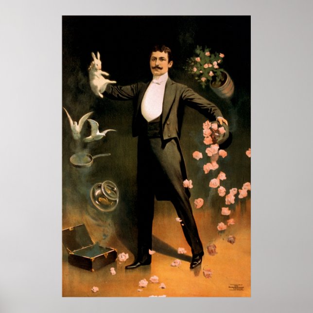 Pôster Zan Zig atuando com coelhos e rosas (Frente)