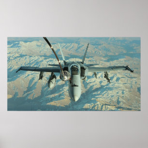 Pôster Zangão F/A-18