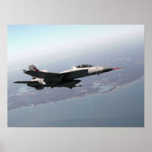 Pôster Zangão F/A-18 super