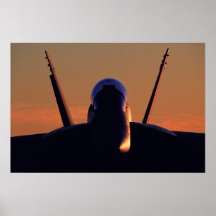 Poster Zangão FA-18