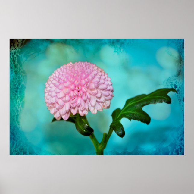 Poster Zauberhafte Blüte (Frente)