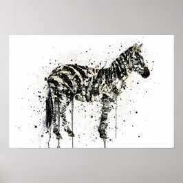 Poster Zebra
