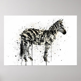 Poster Zebra
