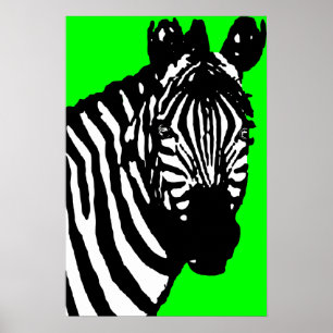 Pôster zebra