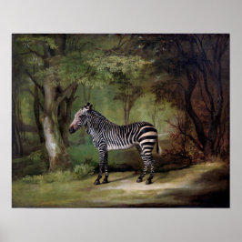 Poster Zebra (1763)