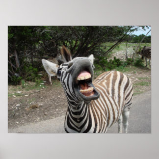 Poster zebra bizarra