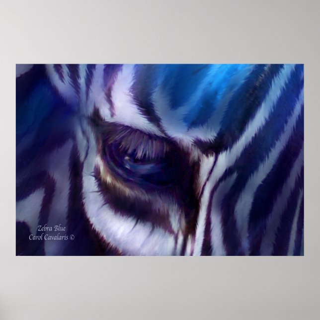 Pôster Zebra Blue Art Poster/Print (Frente)