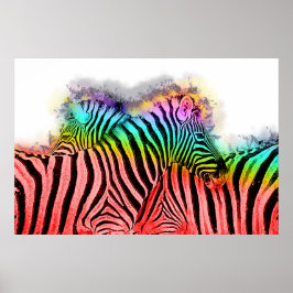 Poster Zebra Casal Art
