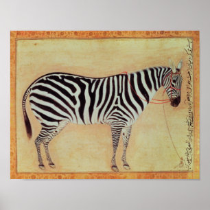 Pôster Zebra, de "do álbum Minto", Mughal, 1621,
