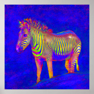 Poster zebra de néon 2