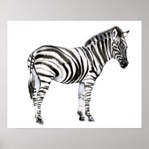 Poster Zebra em pé
