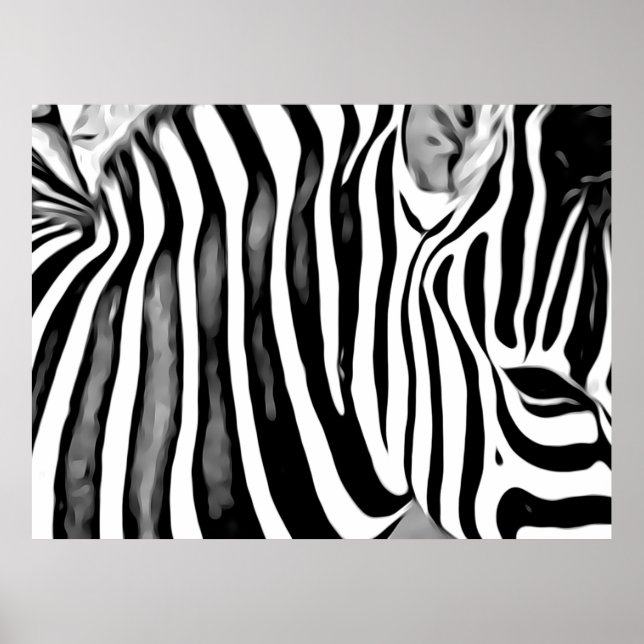 Poster Zebra fecha (Frente)