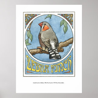 Pôster Zebra Finch Nouveau