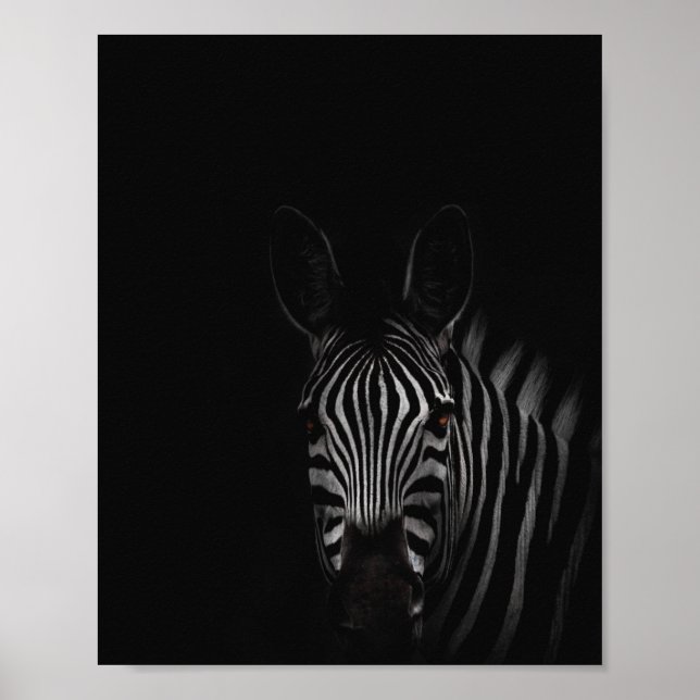 Poster Zebra, fotografia a preto e branco (Frente)