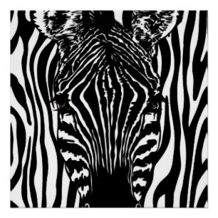 Pôster Zebra Funky
